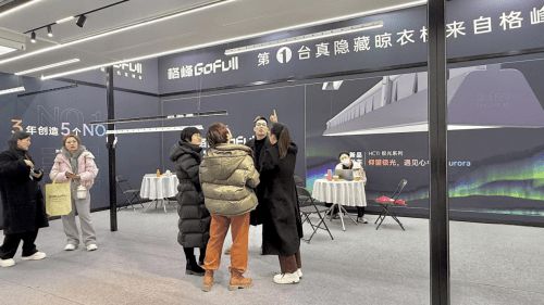 乌镇建博会“极光”系列惊艳全场隐藏式晾衣架行业开创者格峰亮相(图8)